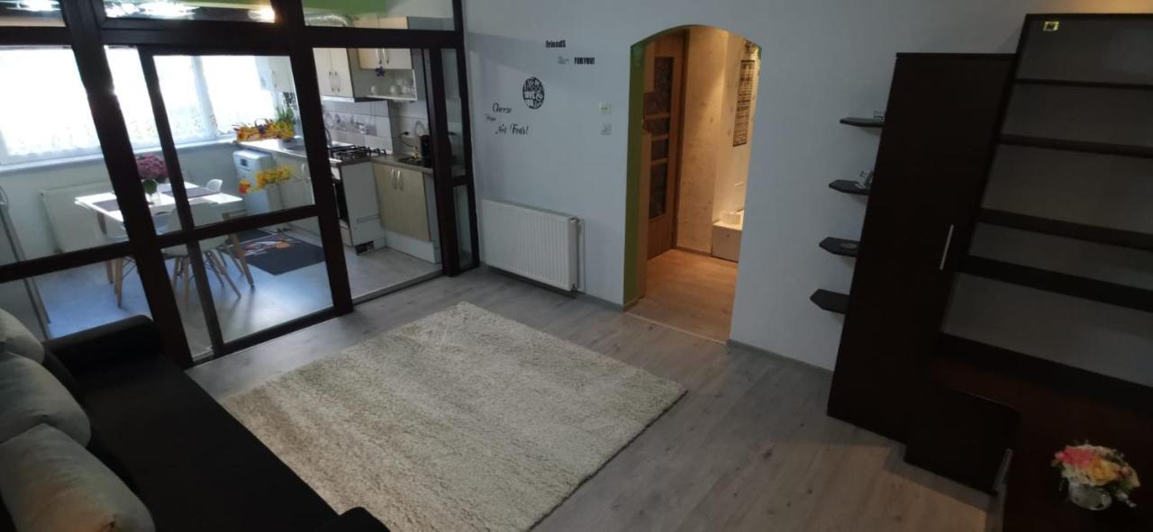 Ana Lux Apartments Brasov Exterior photo